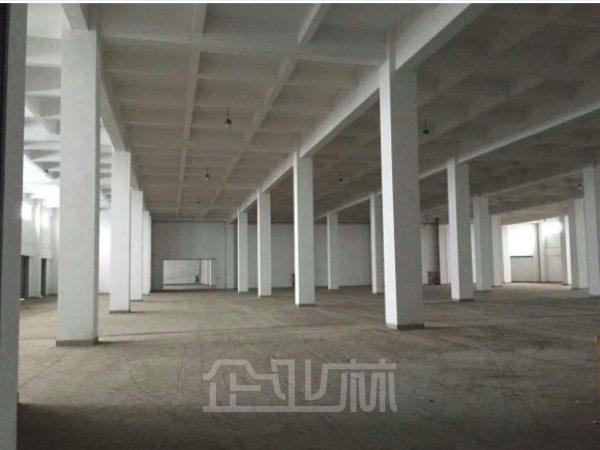 (出租)亭林5000平仓库出租-可分租-可短期出租