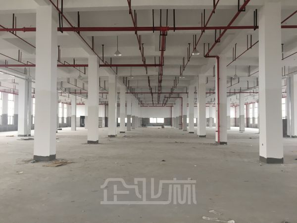 超好独门独院 高平台消防丙类双层仓库8250平