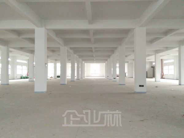 泗泾 104板块独门独院 四层厂房2万平