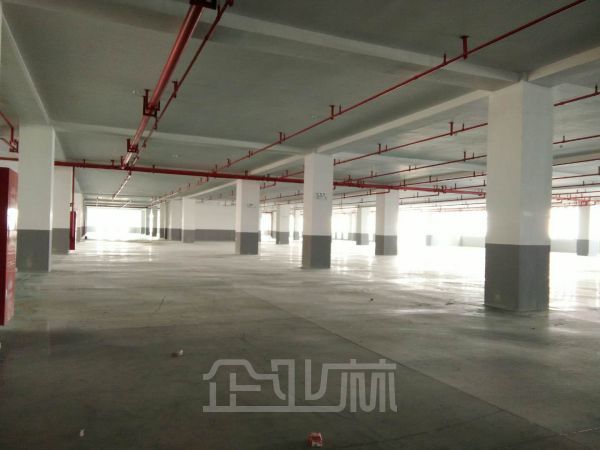 出租金山枫泾3600平厂房仓储 带消防，独栋