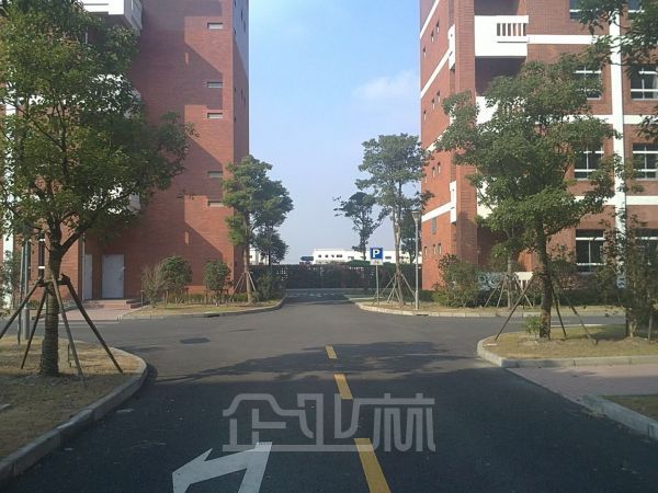 松江区 绿证104板块厂房 可分层出售