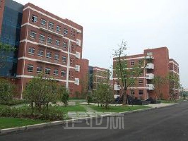 松江区 绿证104板块厂房 可分层出售