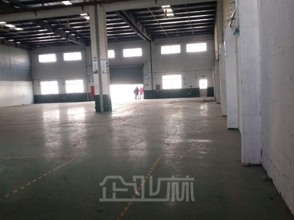 蓬朗镇多栋单层3000平厂房无公摊 丙级消防 证件齐全