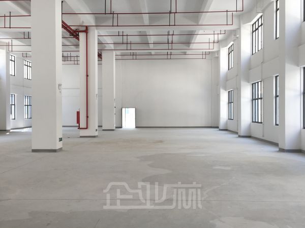 新建 独栋双层厂房3000平 便宜出售