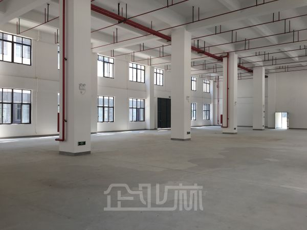 东部开发区 绿证104板块厂房