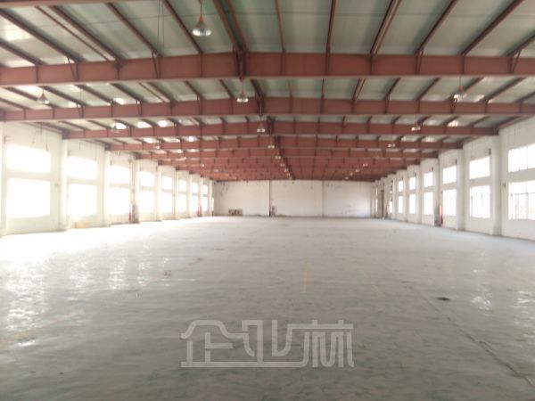 松江区 单层仓库2万平租赁面积大小面积可分割