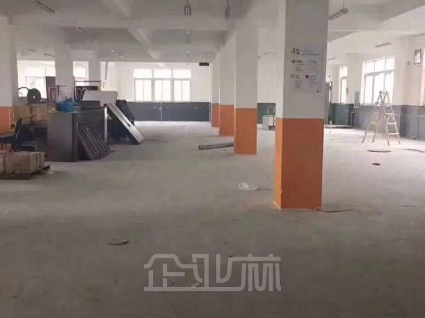 嘉定江桥金园一路 新出独栋3400平