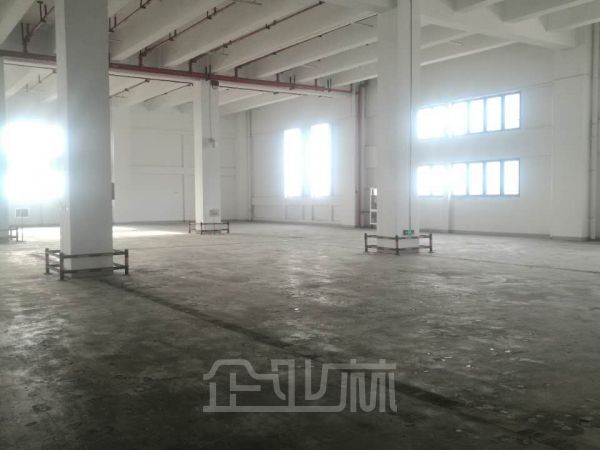 自贸区独门独院2000平厂房 仓库
