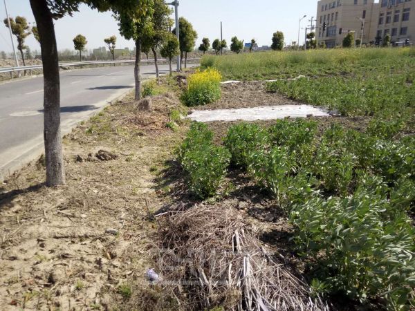嘉兴南湖10亩空地转让园区内