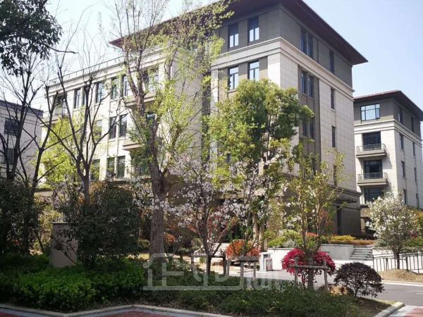 青浦104板块多栋办公研发楼 便宜出售