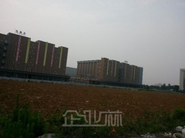 南京雨润桥林10万吨冷库对外招商