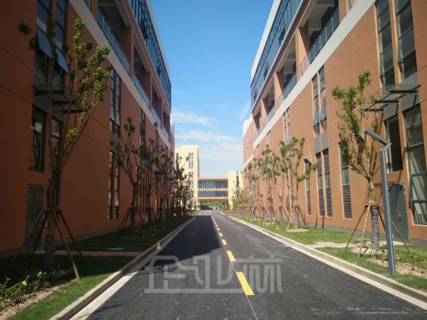 上海金山工业区7642平多层厂房出租     租金1.2元/天/平米