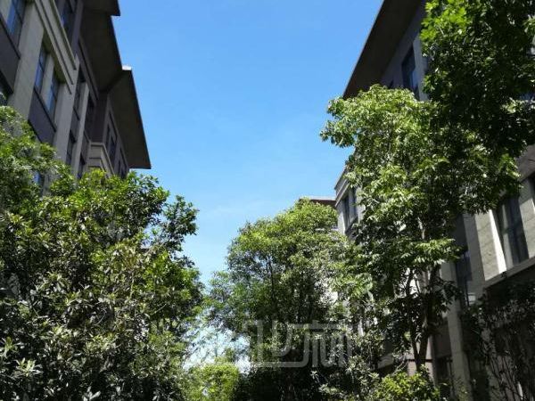 厂房正门图