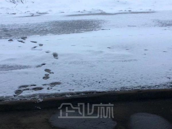 厂房正门图