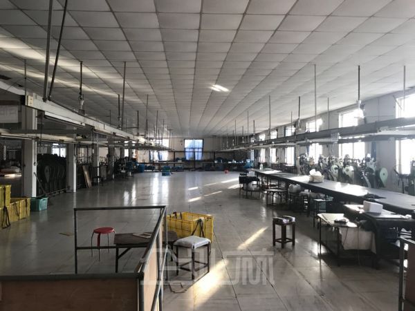 奉贤区奉城工业园区独门独院厂房出租