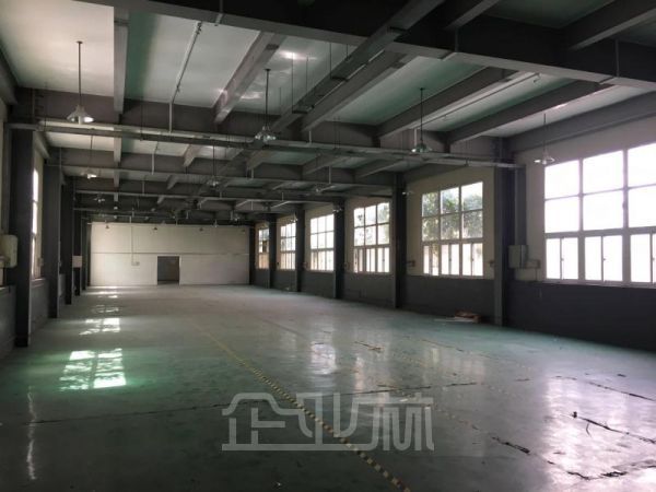 杨浦 研发生产型厂房 2376平