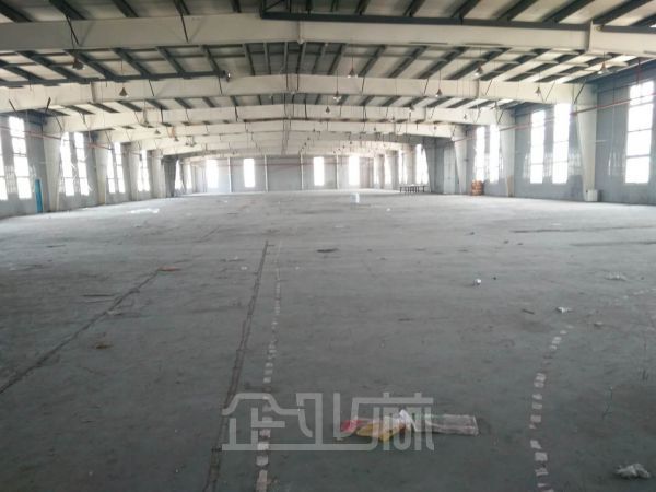 松江出口加工区5000平单层厂房对外出租    租金0.9元/天/平米