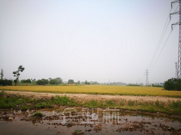 泰州靖江50亩一手土地出让