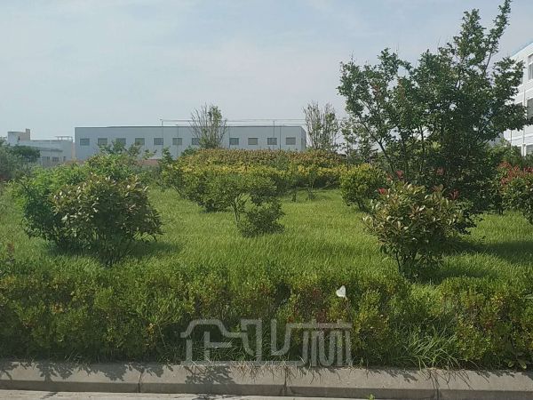 启东滨海城区厂房