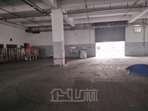 浦东外高桥自贸区厂房出租