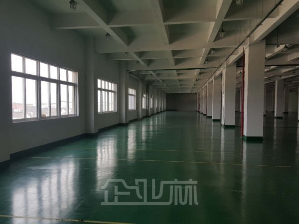 叶榭 底楼厂房3000平 6.5米 可办环评