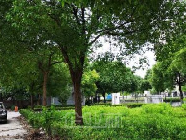 厂房正门图