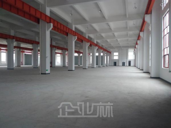 上海金山新造厂房