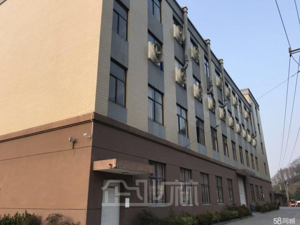 杭州余杭中泰厂房出租未来科技城厂房出租