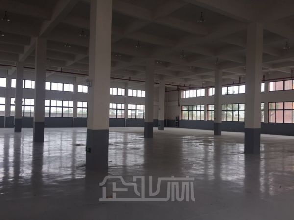 嘉善独门独院40000平厂房出售