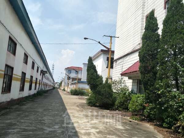 独门独院104板块 占地80亩 适合工业厂房二次开发