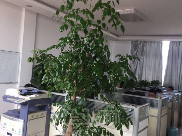 厂房正门图