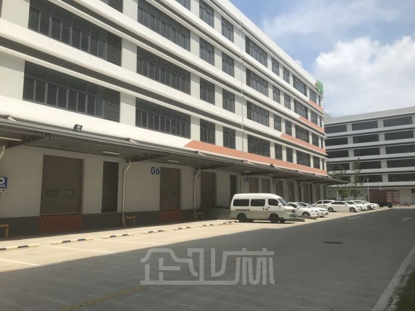 嘉定朱桥独栋楼库8500方（月台，3部3吨货梯，丙二类）