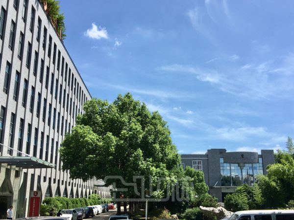 非中介 江北万达60,80,100平起租，0.89元/月起