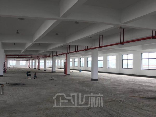 常州市钟楼开发区梅花路和水杉路厂房出租