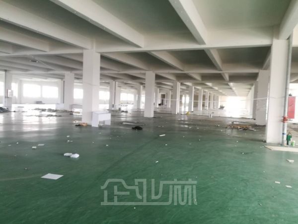 吴江高速口单层多层10000平厂房仓库出租可分租