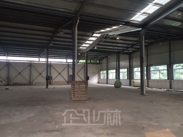 奉贤西渡独栋仓库  / 可分幢出租