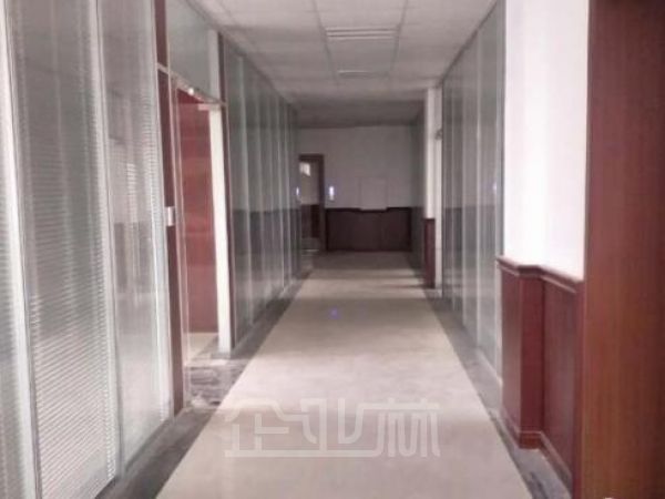 青浦 独门独院 单层厂房5000平米出售