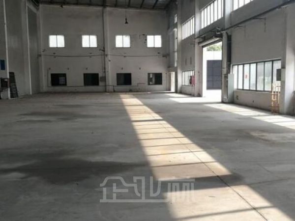 青浦 独门独院 单层厂房5000平米出售