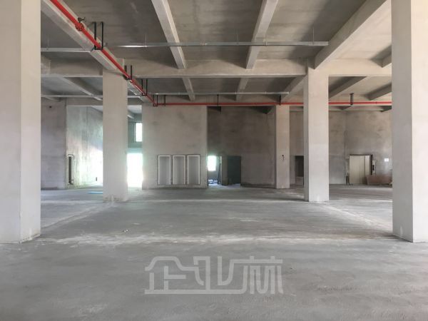 大虹桥 企业总部 办公研发型厂房4500平