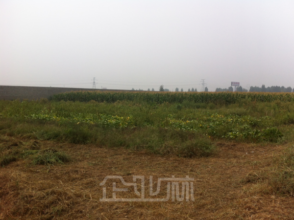 出租土地 地块整齐规整 价格美观