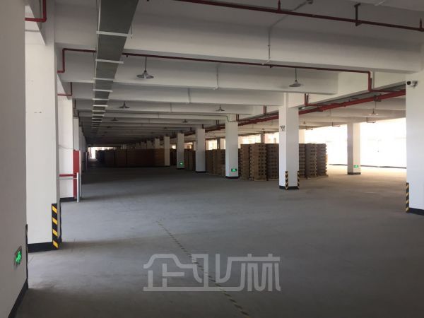 萧山2000平厂房出租，价格实惠，房东直租。