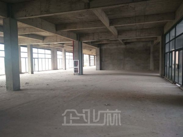 嘉兴油车港5000平多层厂房对外出租    租金16元/月/平米