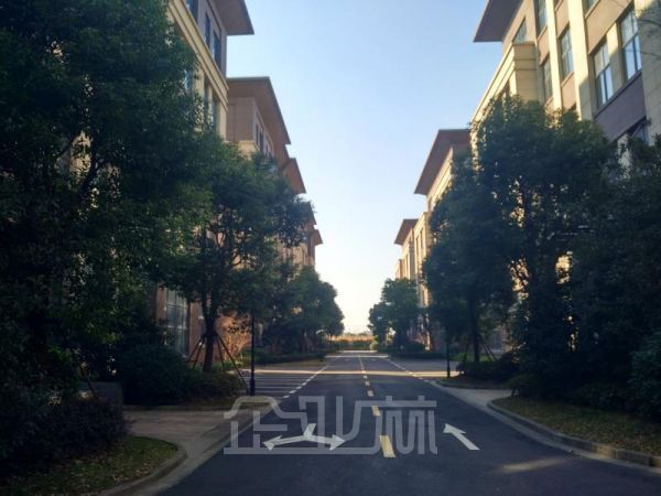 年底大促销 松江104板块厂房2400平 7800元底价出售