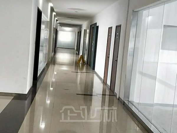 杨浦区办公楼出租离地铁站近