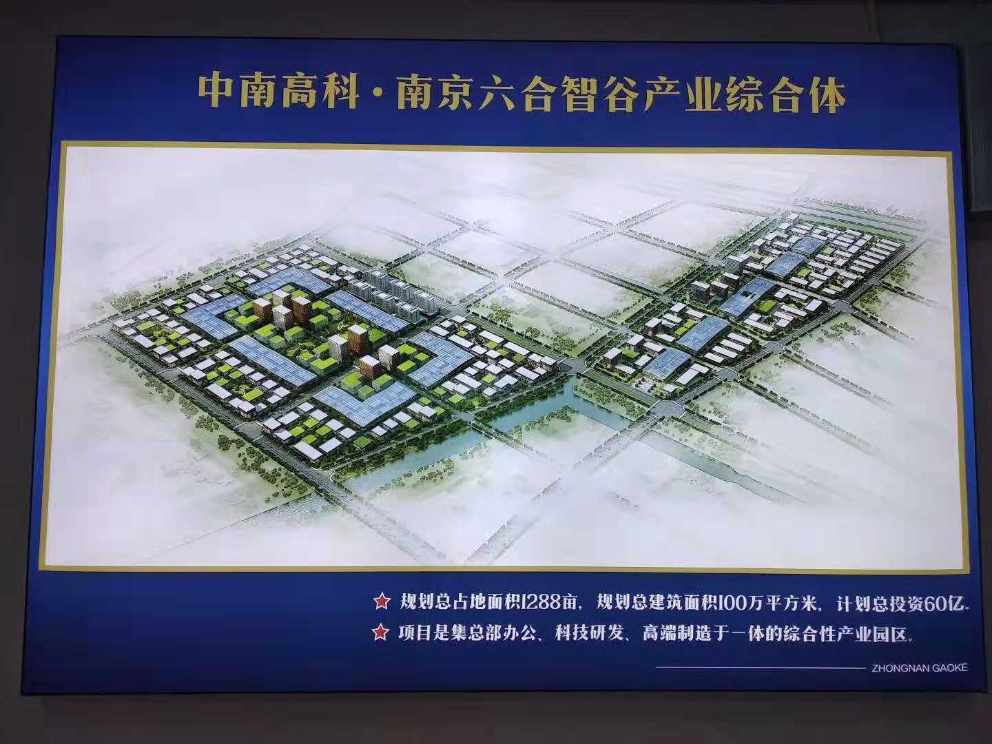 园区鸟瞰