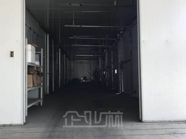 嘉定5000平恒温仓库出租