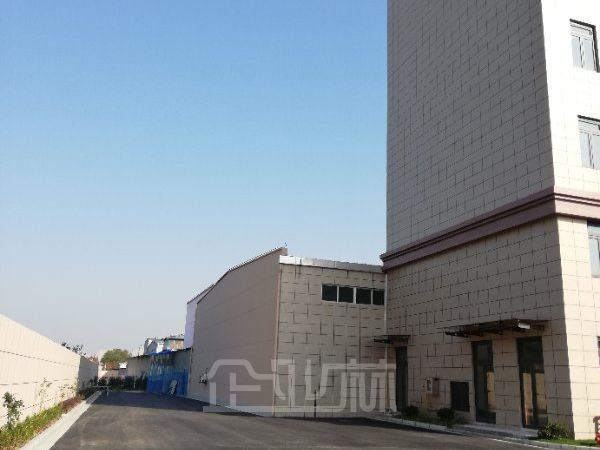 出租 松江茸平路2200平米厂房