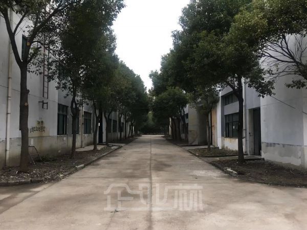 松江工业区 104板块独栋单层厂房1912平