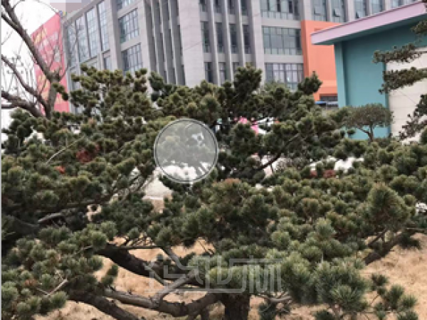 厂房正门图