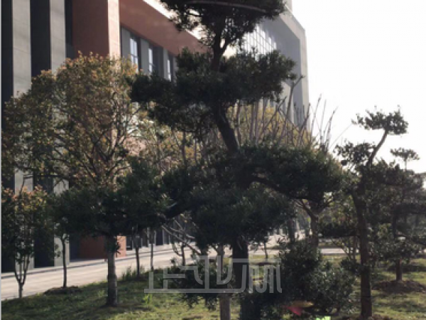 厂房正门图